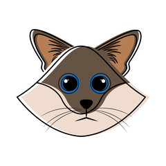 Cute cat avatar sketch