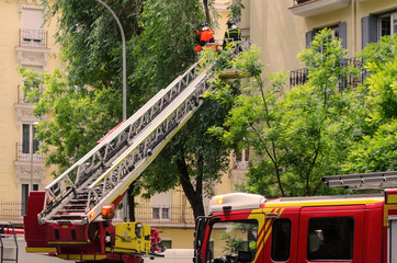 Obraz premium firefighters on aerial ladder cutting branches of a tree
