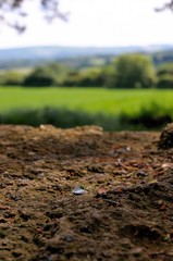 Paper on Rock