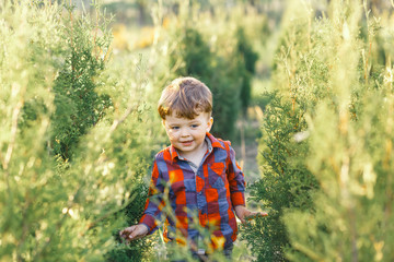 A cute boy having fun outside in the country in summer at the sunset. a boy playing in the garden with young little trees and green grass.