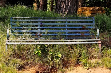 Overgrown Bench