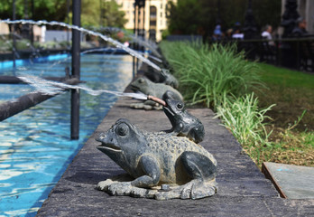 Fountain water frog