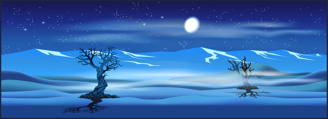 Obraz na płótnie Canvas Deserted landscape at night