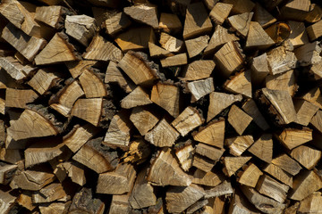 Pieces of different sizes are forming this wood pile of chopped pieces of pine, oak and other trees, ready to be burned into the fireplace during winter time.