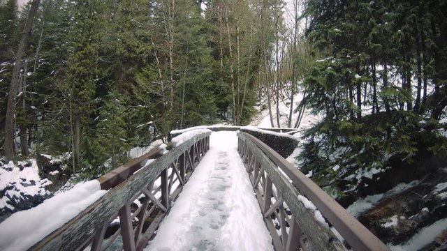 Pacific Northwest Deception Falls Footbridge View