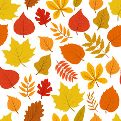 Forest golden autumn leaves seamless vector autumnal pattern