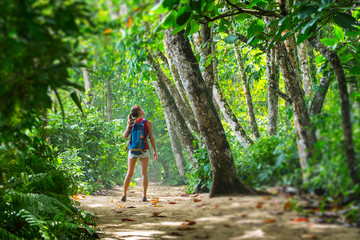 Young woman hiker stands in the tropical lush forest and looks at the trees. Tilt shift effect applied on the edges - obrazy, fototapety, plakaty