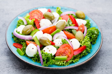 Vegetable salad with cheese mozzarella, tomatoes, basilikum and spice.