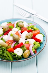Vegetable salad with cheese mozzarella, tomatoes, basilikum and spice.
