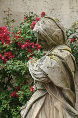Marienstatue und Rosenstock,