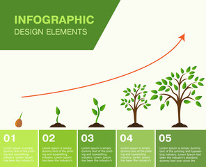 Obraz premium Infographic-growing tree, the growth of Finance. vector illustrator