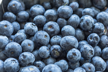 Close up of blueberries