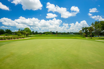 South Florida Golf Course - obrazy, fototapety, plakaty