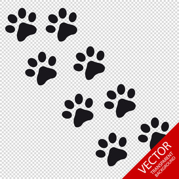 Animal Paw Vector Icons - Isolated On Transparent Background
