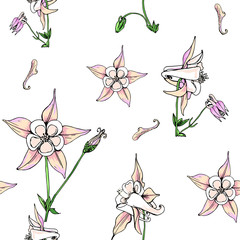 Seamless pattern with wildflowers on white background. Sunny clor flower vector field blossom.