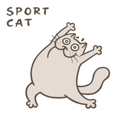 Sport with cute thick cat. Vector illustration