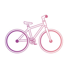 bicycle vehicle isolated icon vector illustration design