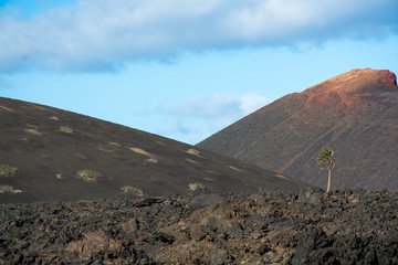 Views from guided tour Termesana route in Timanfaya national park, Lanzarote, Canary, Spain.