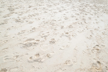 Footprint on white sand at the beach in sunset
