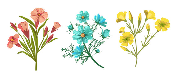  Vector set of flowers
