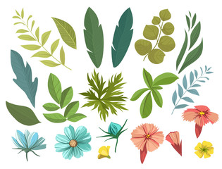 Floral decorative elements. Vector set with flowers, leaves.