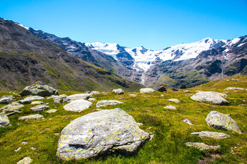Forni glacier panorama in Ortler Alps, Stelvio National Park, Italy
