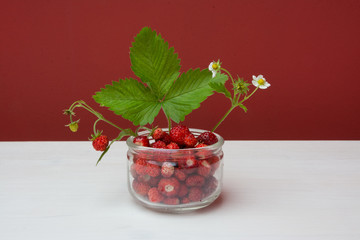 Wild strawberries in a glass jar isolated with a red and white background