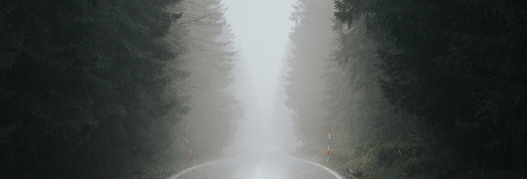 Forest Foggy, Rainy Road.