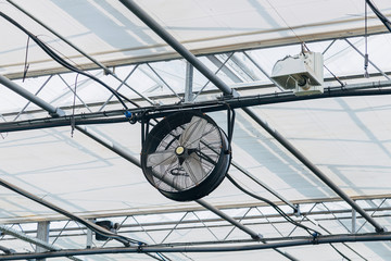 Fan in modern agricultural greenhouse. 