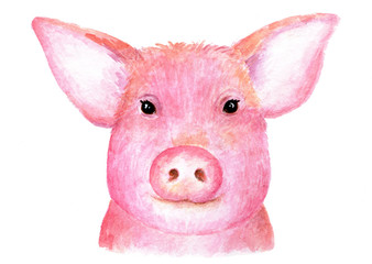 Portrait of a pig. Sweet pig. Watercolor illustration.
Lovely porter pig. Element for decoration of postcards, fabric, packaging, calendars.