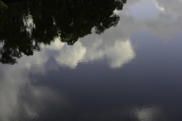 Reflection on the river water of trees and clouds in daytime