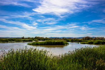 Fototapeta na wymiar Lagoon. “Laguna de Fuente de Piedra”. Fuente de Piedra, Malaga Province, Andalusia, Spain.