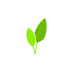 leaves of a plant icon. Element of web icon for mobile concept and web apps. Colored isolated leaves of a plant icon can be used for web and mobile. Premium icon