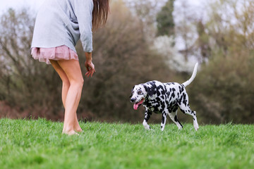 young woman plays with a Dalmatian dog