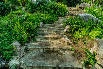 Old Concrete staircase
