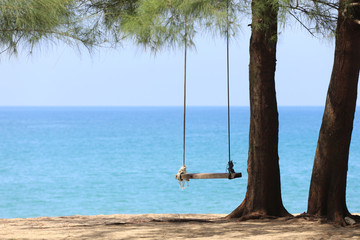 Beautiful beach under pine trees with swing