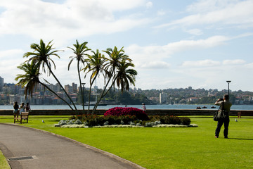 Obraz premium Royal Botanical Garden - Sydney - Australia