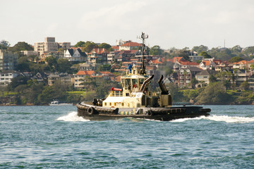 Tug Boat - Sydney - Australia