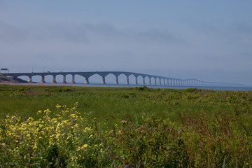 Green field and a long bridge disappearing into the mist