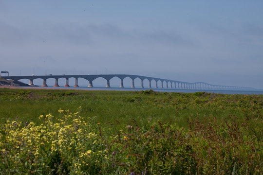Green field and a long bridge disappearing into the mist - Powered by Adobe