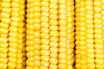 Corn on the cob kernels