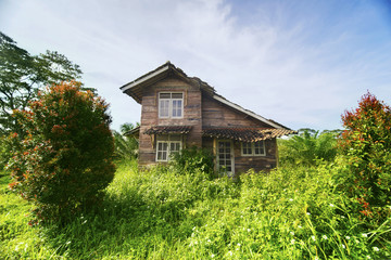 Fototapeta premium Neglected house overgrown with bushes