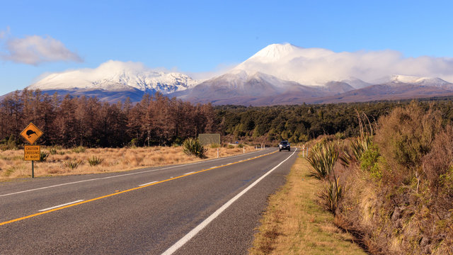 Kiwi road sign and volcano Ngauruhoe at Tongariro National Park, New Zealand