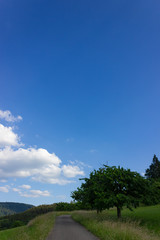 landscape springtime green fields with blue sky and clouds