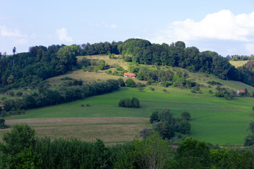 Fototapeta premium landscape springtime green fields with blue sky and clouds