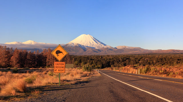 Kiwi road sign and volcano Mt. Ngauruhoe at sunset, Tongariro National Park, New Zealand