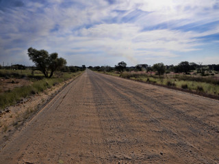 Fototapeta na wymiar Wavy dusty road, Kalahari South Africa