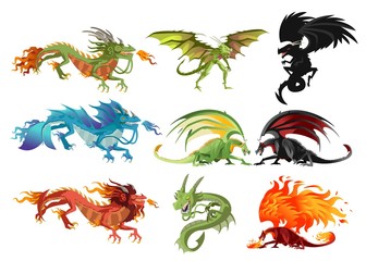 wild dragons collection