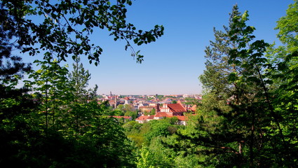 Widok na Wilno z miejskiego lasu umiejscowionego w okół "Trijų kryžių kalnas" w stolicy Litwy © Konrad_elx