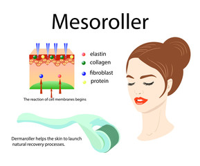 Mesoroller application, face of a girl and skin structure